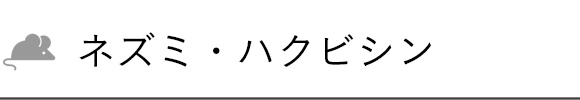 ネズミ・ハクビシン
