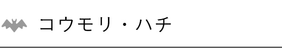 コウモリ・ハチ