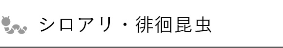 シロアリ・徘徊昆虫