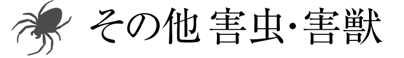 その他害虫・害獣