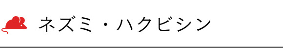 ネズミ・ハクビシン