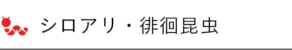 シロアリ・徘徊昆虫