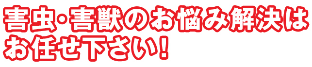 害虫・害獣のお悩み解決は お任せ下さい！